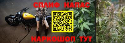 крисы Рыбинск