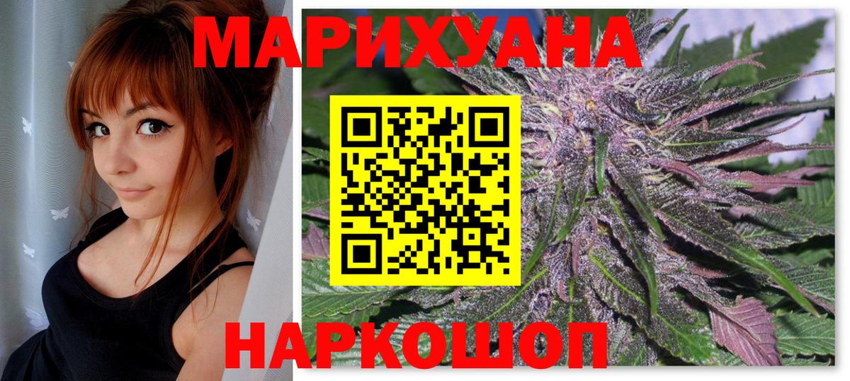 Канабис планчик Советск